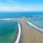 Whale Tours depart from Whales Tail Beach