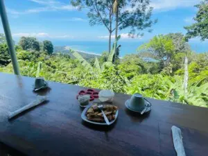 birdwatching tour in Costa Rica with breakfast