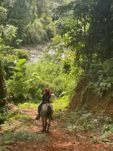 Things to do in Uvita Costa Rica. Horseback riding tour in Uvita to a hidden waterfall