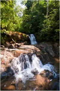 Horseback riding Uvita to a hidden waterfall