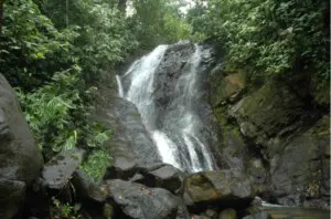 Things to do in Uvita Costa Rica.  Horseback riding tour in Uvita to a hidden waterfall
