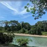 Cafe Mono Congo on the river 2