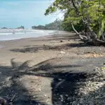 Dominicalito Beach less surf