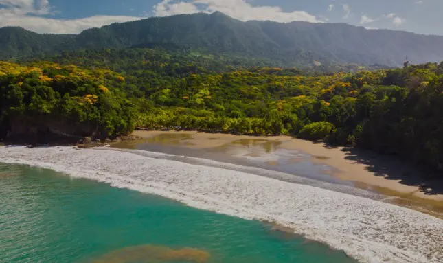 Jungle and Beach in Costa Rica