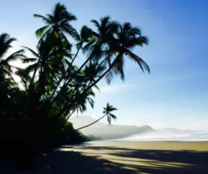 Playa Chaman beach near Casitas Del Rio