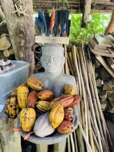Chocolate Tour with Casitas Del Rio Riverfront Nature Lodge