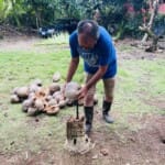 Coconut Tour interactive cultural tour