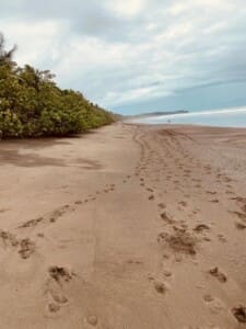 Horseback Riding on the Beach near Casitas Del Rio Riverfront Nature Lodge in Costa Rica