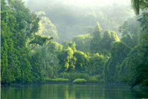Corcovado National Park Tour