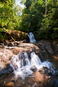 horseback riding Uvita to a hidden waterfall Horseback riding Uvita to a hidden waterfall