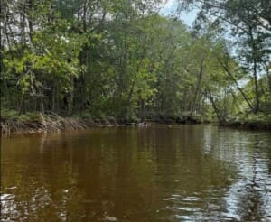 Kayak mangrove nature tours in Costa Rica Kayak mangrove nature tours in Costa Rica