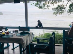 La Percela places to eat in Uvita and Dominical Costa Rica