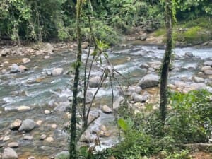 Things to do in Uvita Costa Rica. Horseback riding tour in Uvita to a hidden waterfall Things to do in Uvita Costa Rica. Horseback riding tour in Uvita to a hidden waterfall