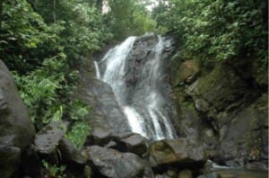 Things to do in Uvita Costa Rica. Horseback riding tour in Uvita to a hidden waterfall Things to do in Uvita Costa Rica. Horseback riding tour in Uvita to a hidden waterfall