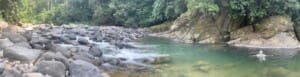 Swimming Hole by the Waterfall