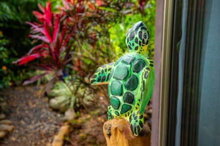 Tortuga Vacation Rental Villa Riverfront with Pool