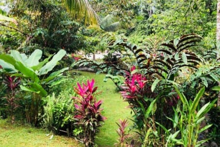 Nature Lodge the Perfect Jungle and Beach Vacation