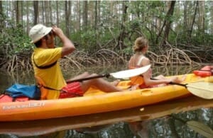 Kayak nature and wildlife tours in Costa Rica Kayak nature and wildlife tours in Costa Rica