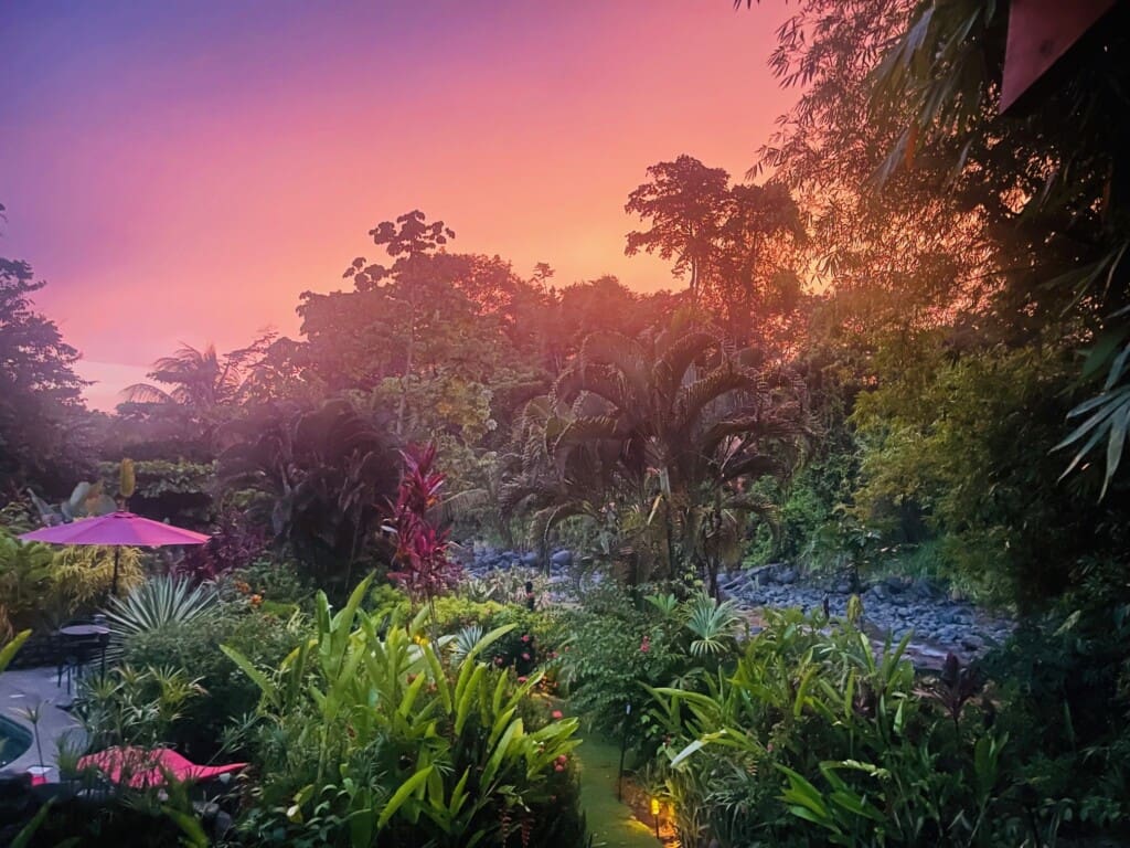 e1587e65 2a7e 4f0f ba5a a8e3c670d0df.jpg